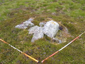 Picture 007.jpg