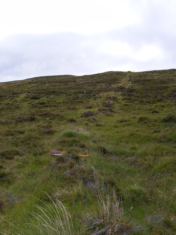Picture 027.jpg