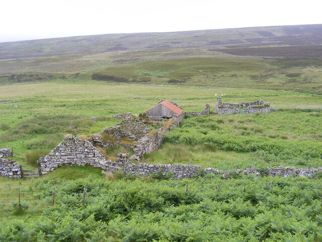Picture 001.jpg