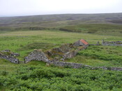 Picture 002.jpg