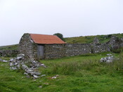 Picture 004.jpg