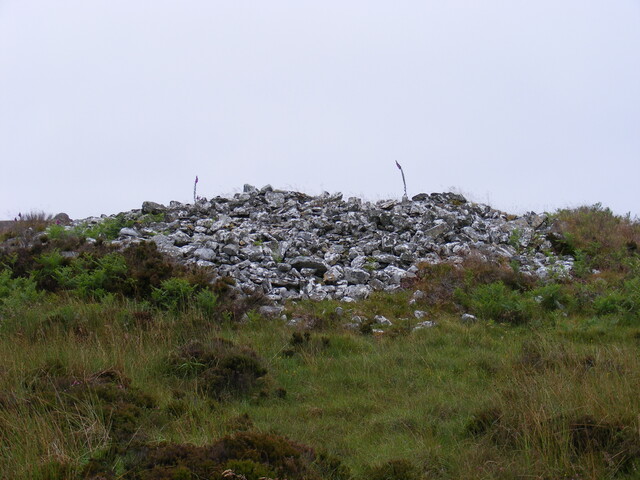 Picture 007.jpg