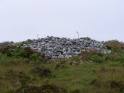 Picture 007.jpg