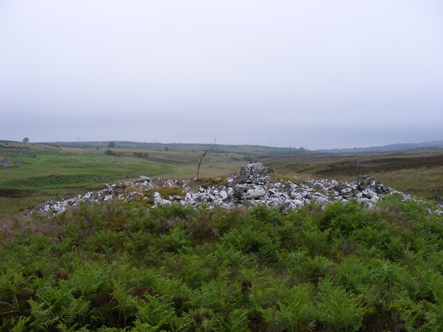Picture 009.jpg