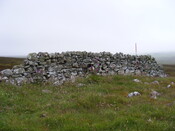 Picture 010.jpg