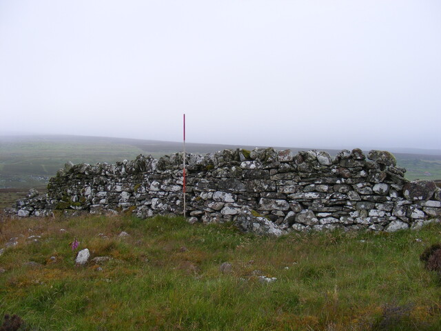 Picture 011.jpg