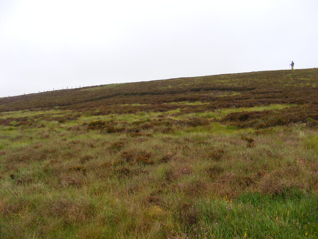 Picture 012.jpg