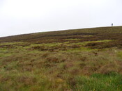 Picture 012.jpg