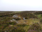 Picture 014.jpg