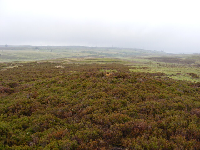 Picture 015.jpg
