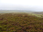 Picture 015.jpg