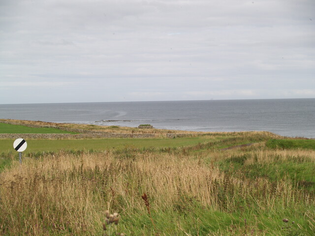 P8225832.JPG