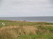 P8225832.JPG