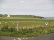 P8225833.jpg