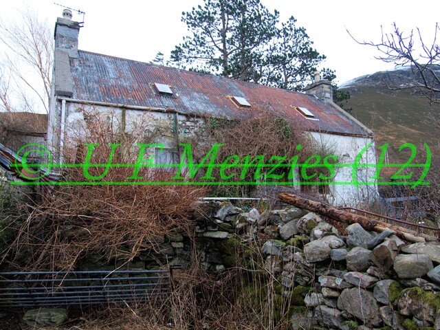 20090119_12.jpg