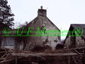 20090119_6.jpg