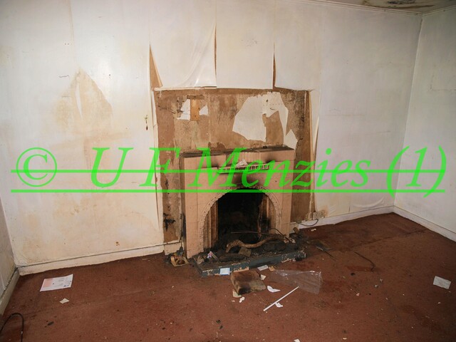 20090717_1.jpg