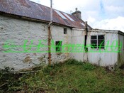 20090717_19.jpg