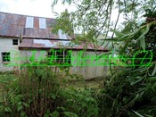 20090717_20.jpg