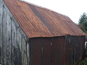DSCF3384.JPG