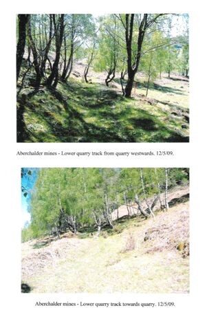 Aberchalder Mines - lower quarry track.jpg