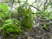 Strathpeffer Initiative Sunday 6th Sept 2009 027.jpg