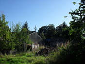 SDC10029.JPG