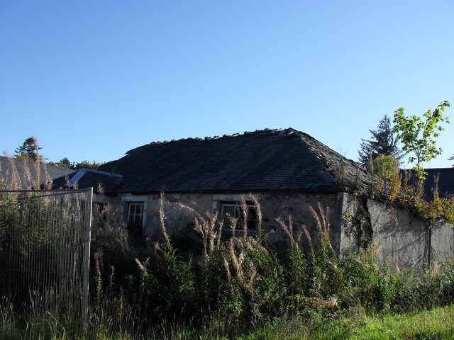 SDC10030.JPG