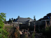 SDC10031.JPG