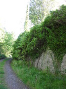 SDC10032.JPG