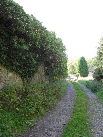SDC10033.JPG