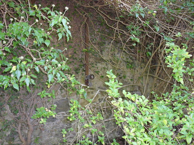 SDC10034.JPG