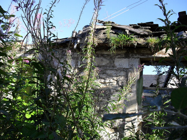 SDC10038.JPG