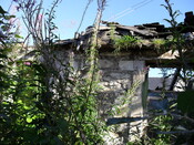 SDC10038.JPG