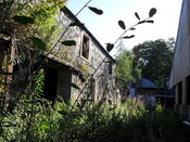SDC10039.JPG