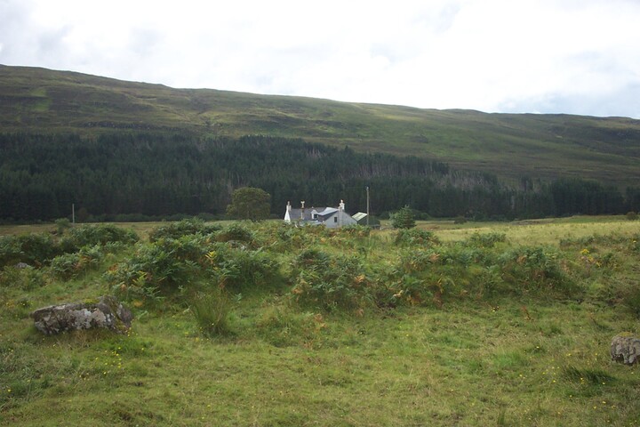 pics 001.jpg