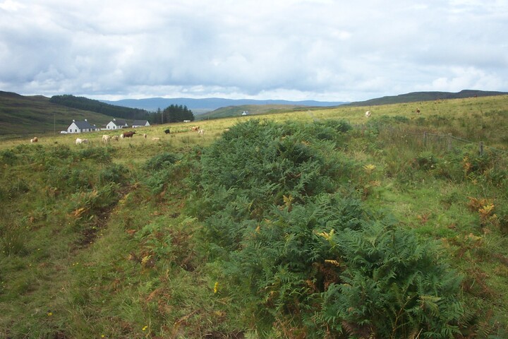 pics 002.jpg