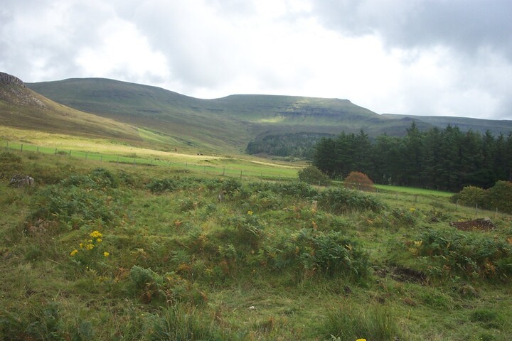 pics 003.JPG
