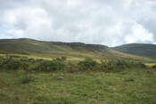 pics 004.jpg