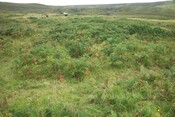 pics 005.jpg