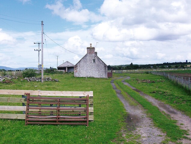 CNV00001.JPG