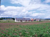 CNV00003.JPG
