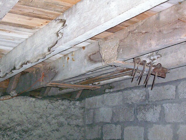 CNV00021.JPG