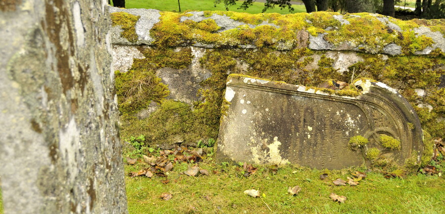 _DSC4801.jpg