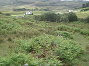 ul 049.JPG