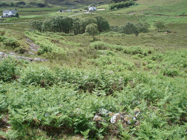 ul 050.JPG