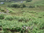 ul 050.JPG