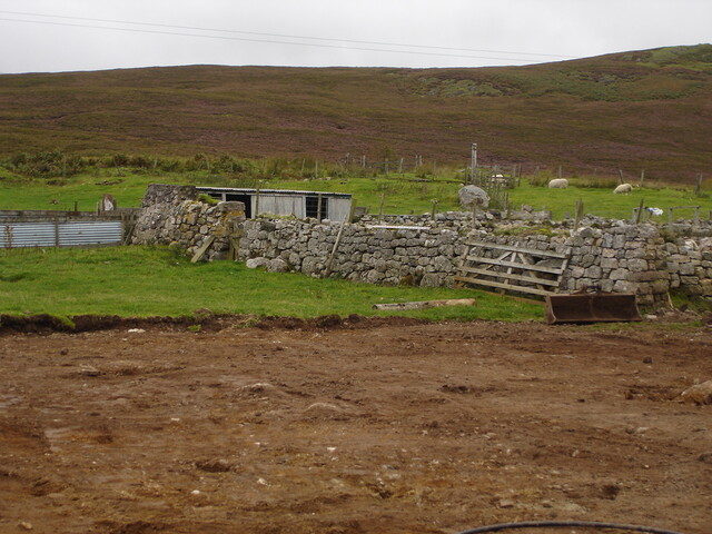 SHG24520_3.jpg
