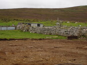 SHG24520_3.jpg