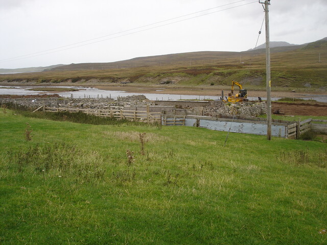 SHG24520_7.jpg